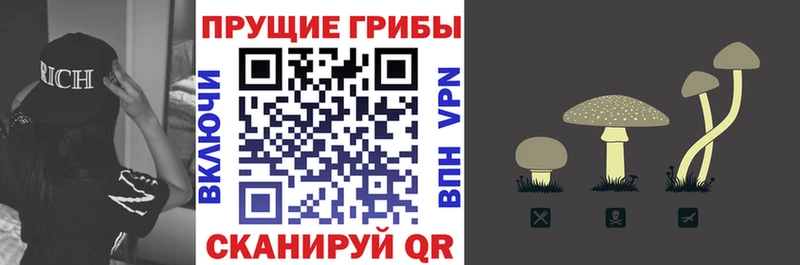Купить  Усолье  Галлюциногенные грибы GOLDEN TEACHER 